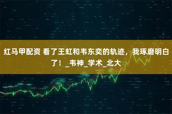 红马甲配资 看了王虹和韦东奕的轨迹，我琢磨明白了！_韦神_学术_北大