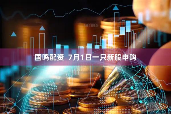 国鸣配资  7月1日一只新股申购