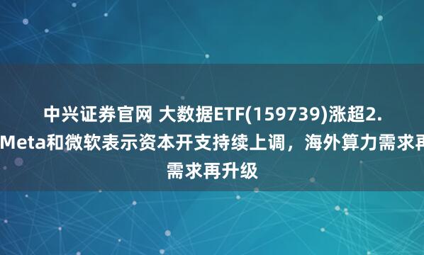 中兴证券官网 大数据ETF(159739)涨超2.3%，Meta和微软表示资本开支持续上调，海外算力需求再升级
