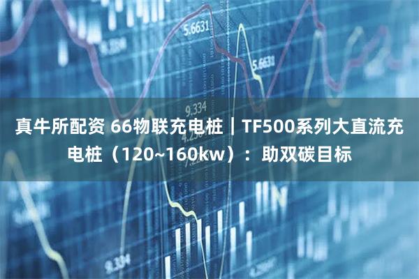 真牛所配资 66物联充电桩｜TF500系列大直流充电桩（120~160kw）：助双碳目标