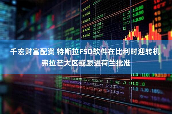 千宏财富配资 特斯拉FSD软件在比利时迎转机 弗拉芒大区或跟进荷兰批准