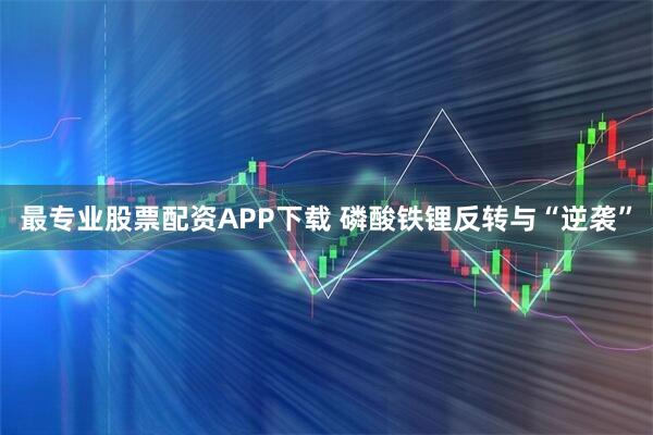 最专业股票配资APP下载 磷酸铁锂反转与“逆袭”