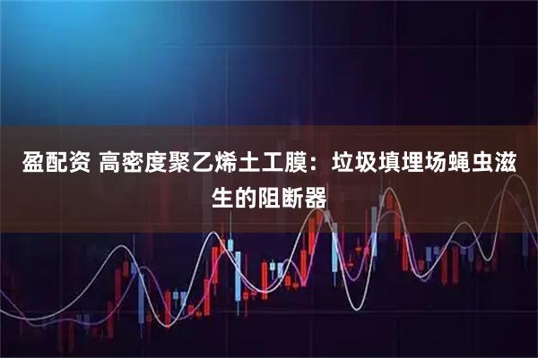 盈配资 高密度聚乙烯土工膜:垃圾填埋场蝇虫滋生的阻断器
